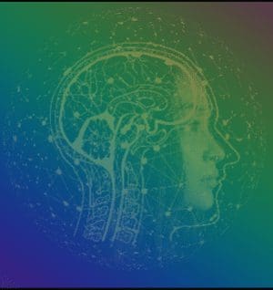 Float Annapolis Our brains are biomes our bodies are biomes our community is a biome Out state, nation, and species are biomes